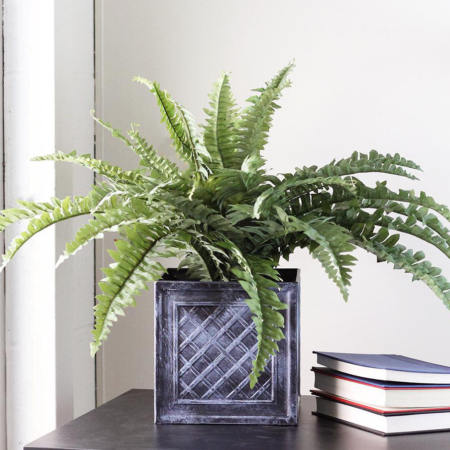 20" Artificial Boston Fern in Decorative Distressed Square Black Tin Pot Northlight Seasonal