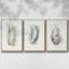 Oysters On The Bay I, ensemble de 3 toiles encadrées sur toile-97709209-97709202
