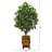 46'' Faux Ficus Tree in Wood Planter