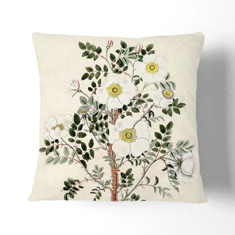 Burnet Rose Flower Illustration Floral Square Throw Cushion, Black, 40cm H x 40cm W x 15cm D