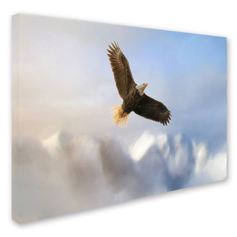 «Rise Above Bald Eagle» de Vidur, impression sur toile tendue, H 14 po x l 19 po