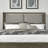 Shaly Queen Upholstered Shelter Headboard-739416761