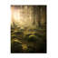 «Dans les bois sur toile» par Christian Lindsten, reproduction-91805628