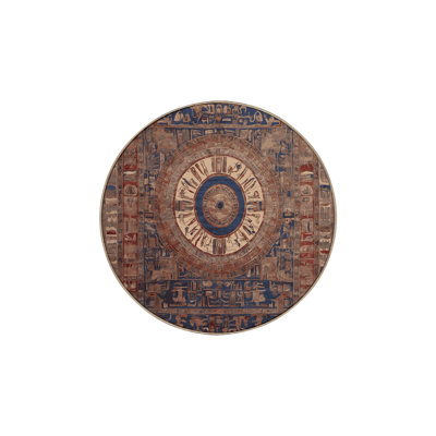 Silky Soft Plush Brown Area Rug