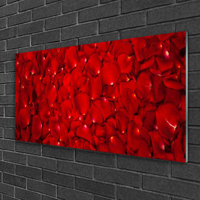 Glass Print Wall Art 100X50cm Image Printed On Glass Decorative Wall Picture Behind Toughened / Tempered Safety Real Glass For Kitchen & Living Room Theme: Petals Floral