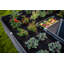 Urbana Keyhole Composting Raised Garden Bed-72108493