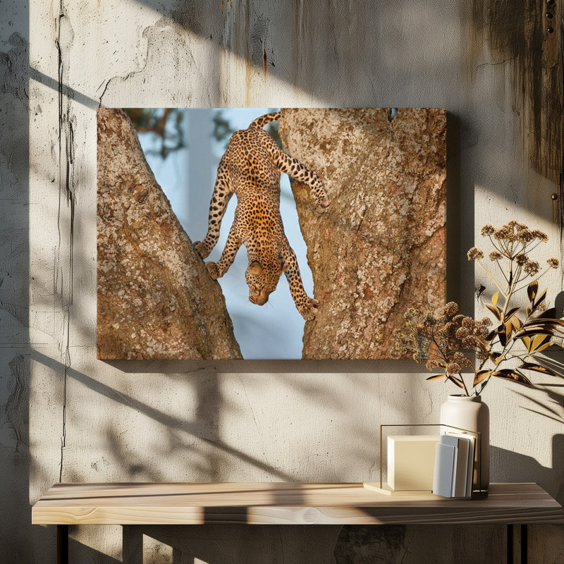 Wrapped Canvas Print, 60.96 cm H x 91.44 cm W
