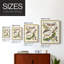 Antique Moths II, reproduction encadrée - bois massif-107925723-107925696