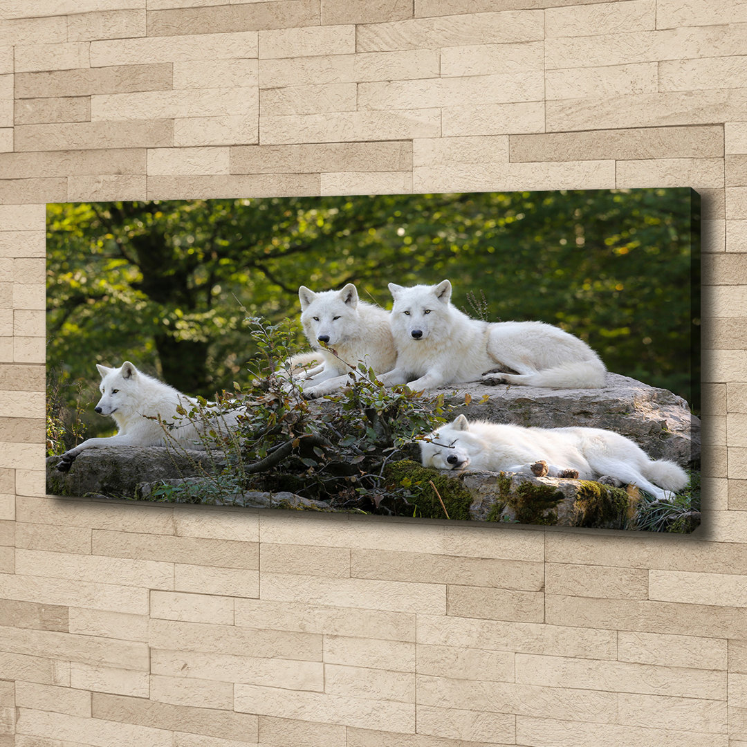 White Wolves Rock - Ungerahmte Kunstdrucke auf Leinwand