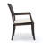 Apgar Outdoor Dining Armchair with Cushions