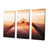 Wrapped Canvas selected