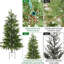 Plant-798864595