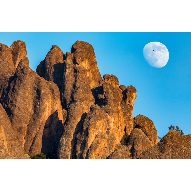 Elizalde Pinnacles National Park - Wrapped Canvas Painting, 30cm H x 46cm W x 3.8cm D