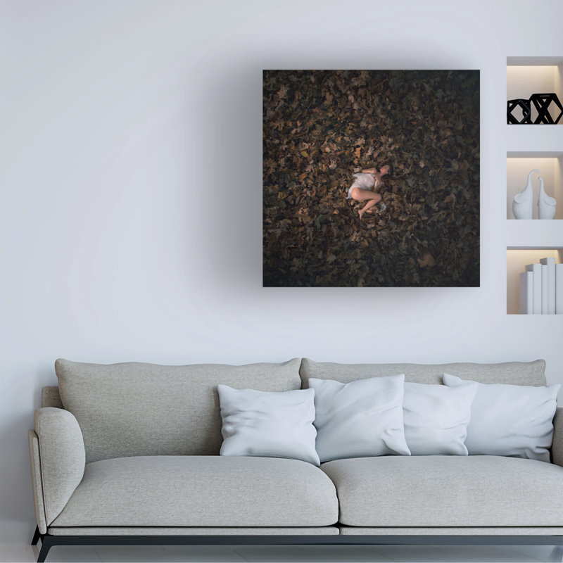 Radovan Skohel Unawakened Canvas Art, H 14 po x l 14 po