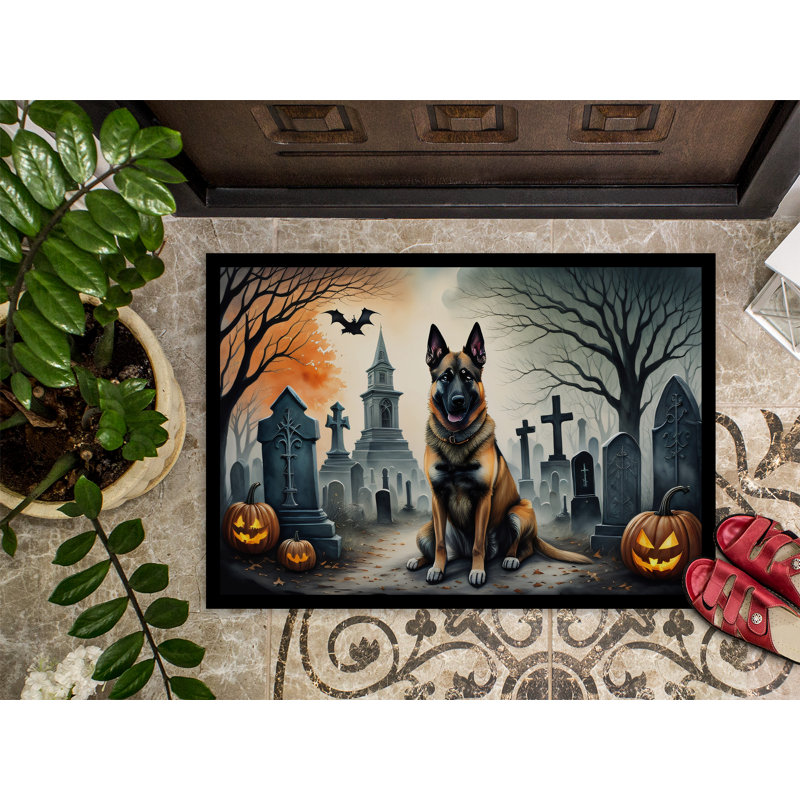 Tapis d'intérieur / extérieur antidérapant 27 po x 18 po Norretta, 24 W" x 36 L"