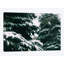« snow song », reproduction de photo sur toile-29640133-74407352-74407356