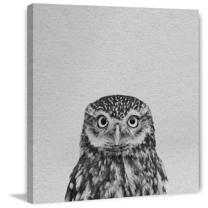 «Black and White Owl», reproduction sur toile, H 18 po x l 18 po x P 1,5 po