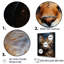 «Havana Brown Mystique Cat I», reproduction d'art mural-95897160-95897167
