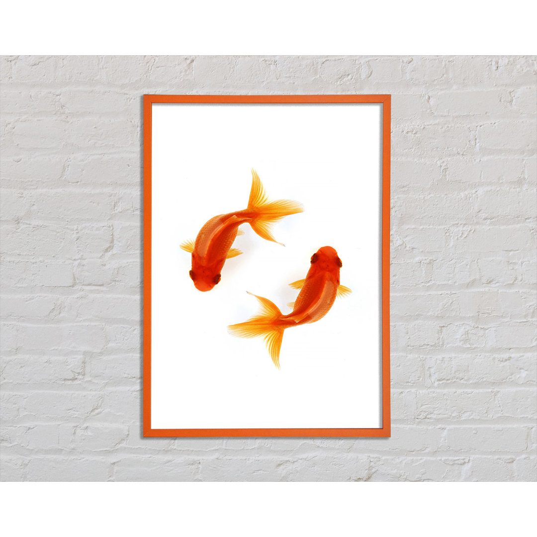 Annaclara Goldfish Reflections - Einzelner Bilderrahmen Kunstdrucke