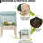 Aant Planter Box