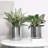Anse Handmade Metal Pot Planter