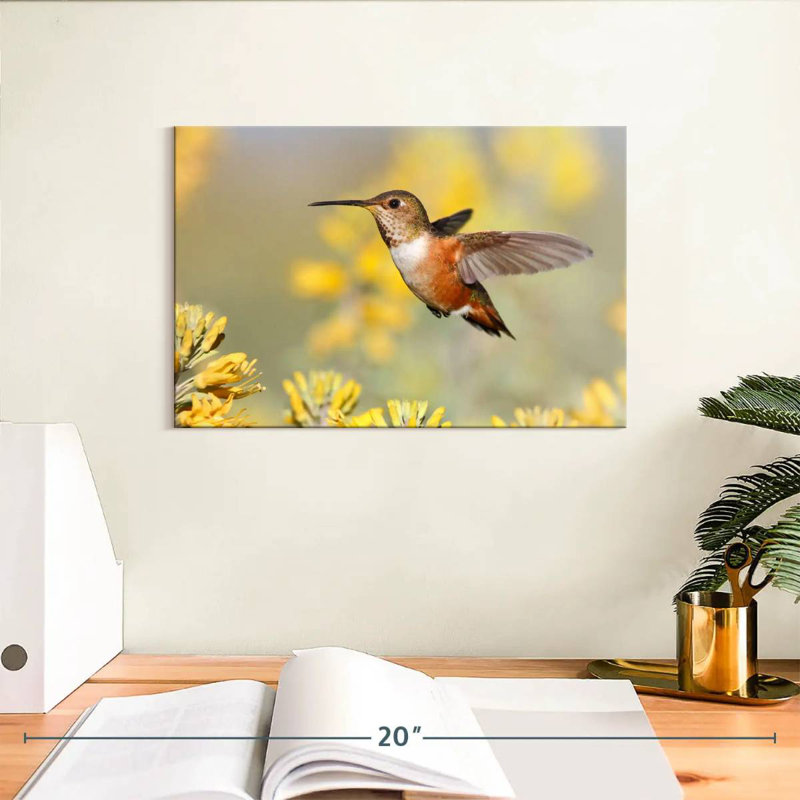 Brampt Allen's Hummingbird, 8" H x 12" W