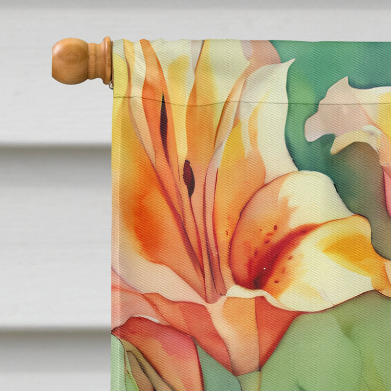 Drapeau de maison en polyester à double face H 40 po x l 28 po