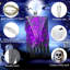 Polyvinyl Chloride (PVC) Halloween Decoration