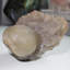 Fluorite botryoïde sur améthyste