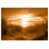 Sepia selected