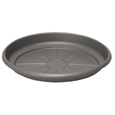 Saucer Plant Stand