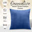Chevron Square Cushion-119266307