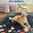 2x6 Washable Kitchen Rug, Non-Slip Jungle Animal Print, Low Pile, Stain-Resistant for Hallway, Entryway, Bathroom, Black-905981106