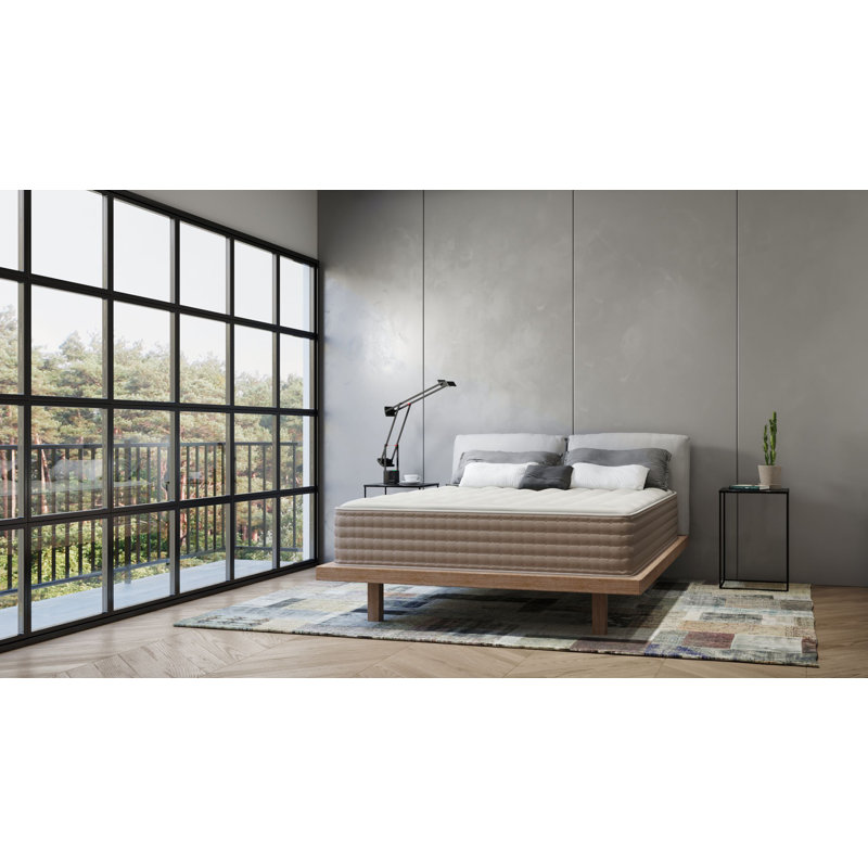 Jackeline 11" Medium Hybrid Latex Mattress, Queen