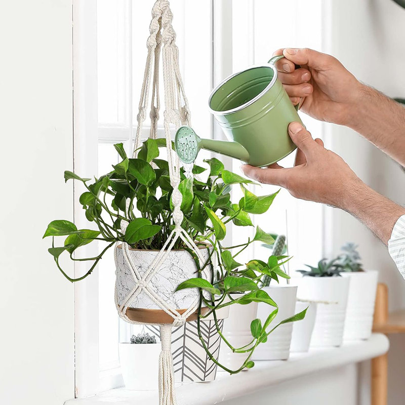 Ensemble de 3 pots à fleurs suspendus pour plante d'intérieur