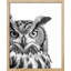 "Photographie de hibou noir et blanc" sur-98265759-98265758