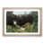 Oak Framed selected
