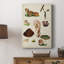 Mushroom Species IX - Gallery Cavas-117749937