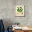 «Citrus Limonum Risso» par Jean Plout, art mural sur toile-1831892259