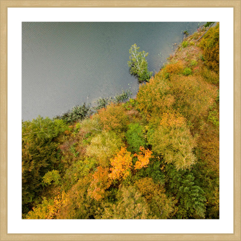 Karolis Janulis - Single Picture Frame Print, 51 cm H x 51 cm W x 3.81 cm D