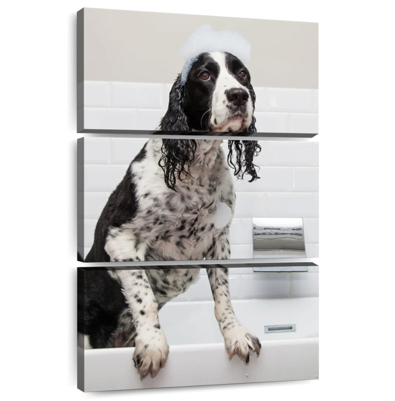 Brampt Bubbly English Spaniel, 38" H x 24" W