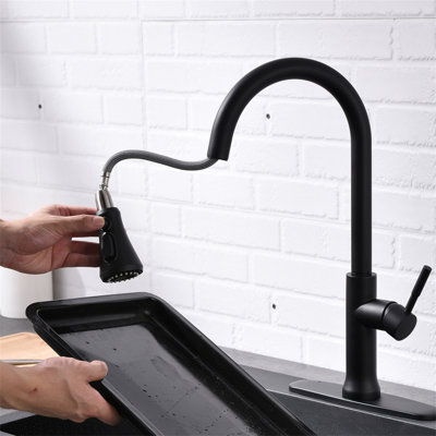 Robinet de cuisine avec douchette extractible Robinet de lavabo de cuisine à poignée simple avec douchette extractible à 2 voies