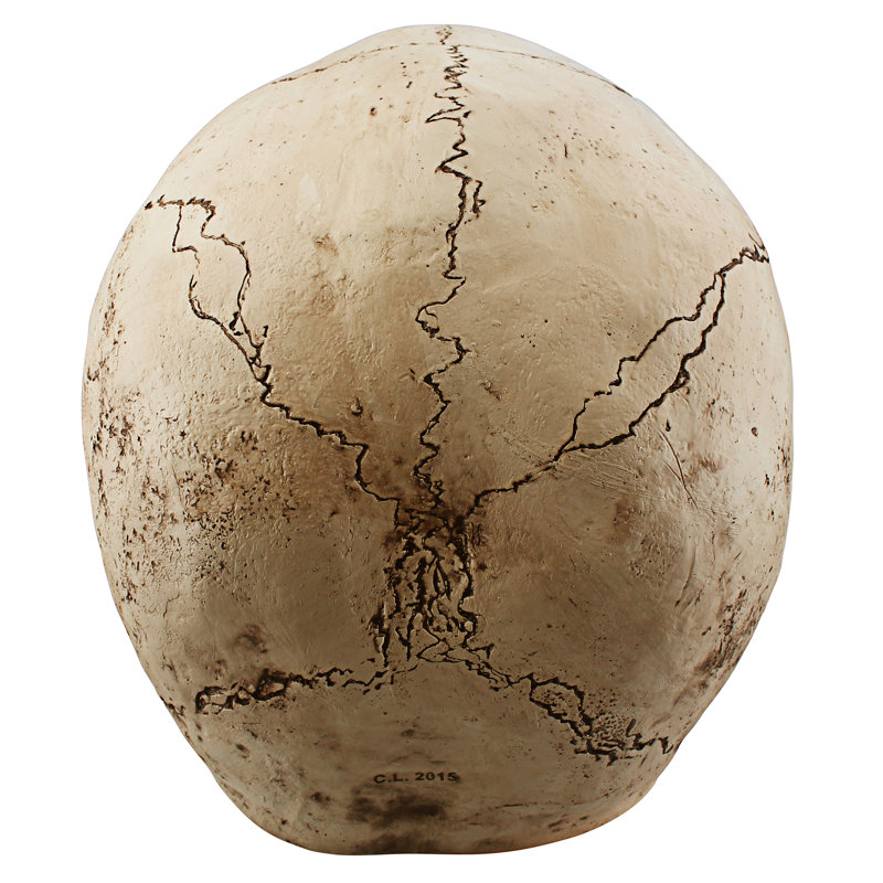Giant Beige Resin Halloween Skeleton Skull Sculpture