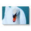 Print-1477064850