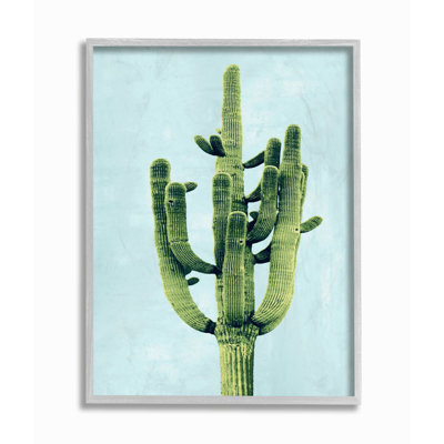 " Pop Desert Cactus Plant Vintage Succulent Blue Green " by Ziwei Li