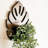 Addora Birch Solid Wood Plant Shelf – Handmade Monstera Leaf Wall Shelf, Boho Farmhouse Décor in Brown or Black-2044197057