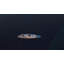 Carreau de vinyle de luxe en chêne 7 po x 48 po x 5 mm