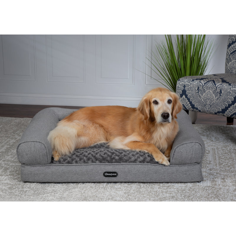 Beautyrest Lux Lounger Memory Foam Couch Bed, Gray, Extra Large (10" H x 41" W x 31" D)