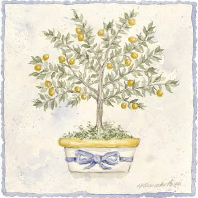 French Topiary I by Nancy Shumaker Pallan - Wrapped Canvas Painting
