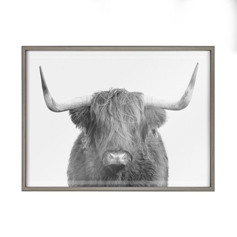 «B&W Highland Cow No. 1 Portrait» par Amy Peterson, art mural en verre encadré, L 32 po x H 24 po